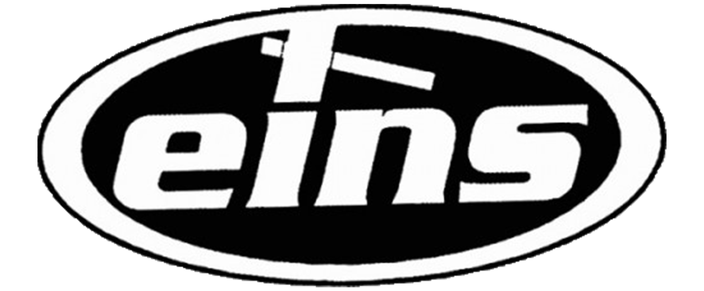 Logo EINS