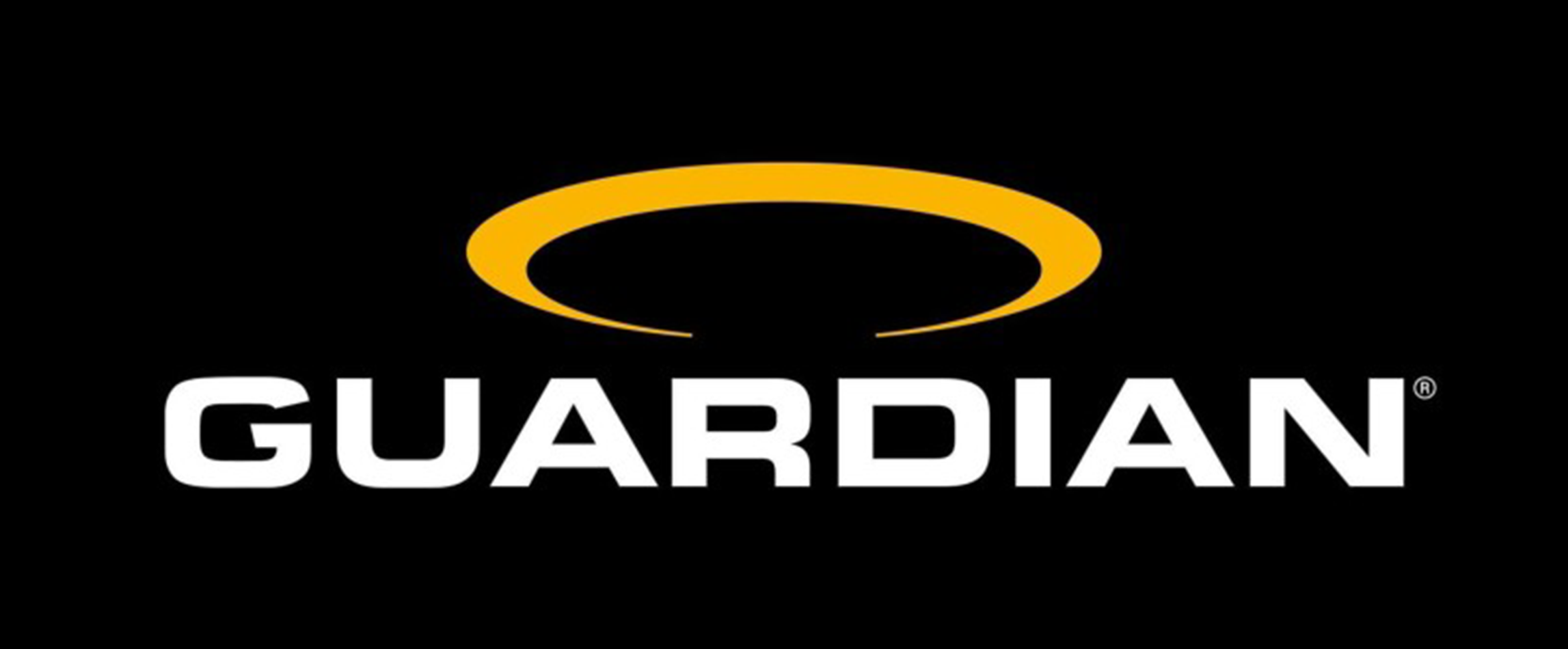 Logo GUARDIAN