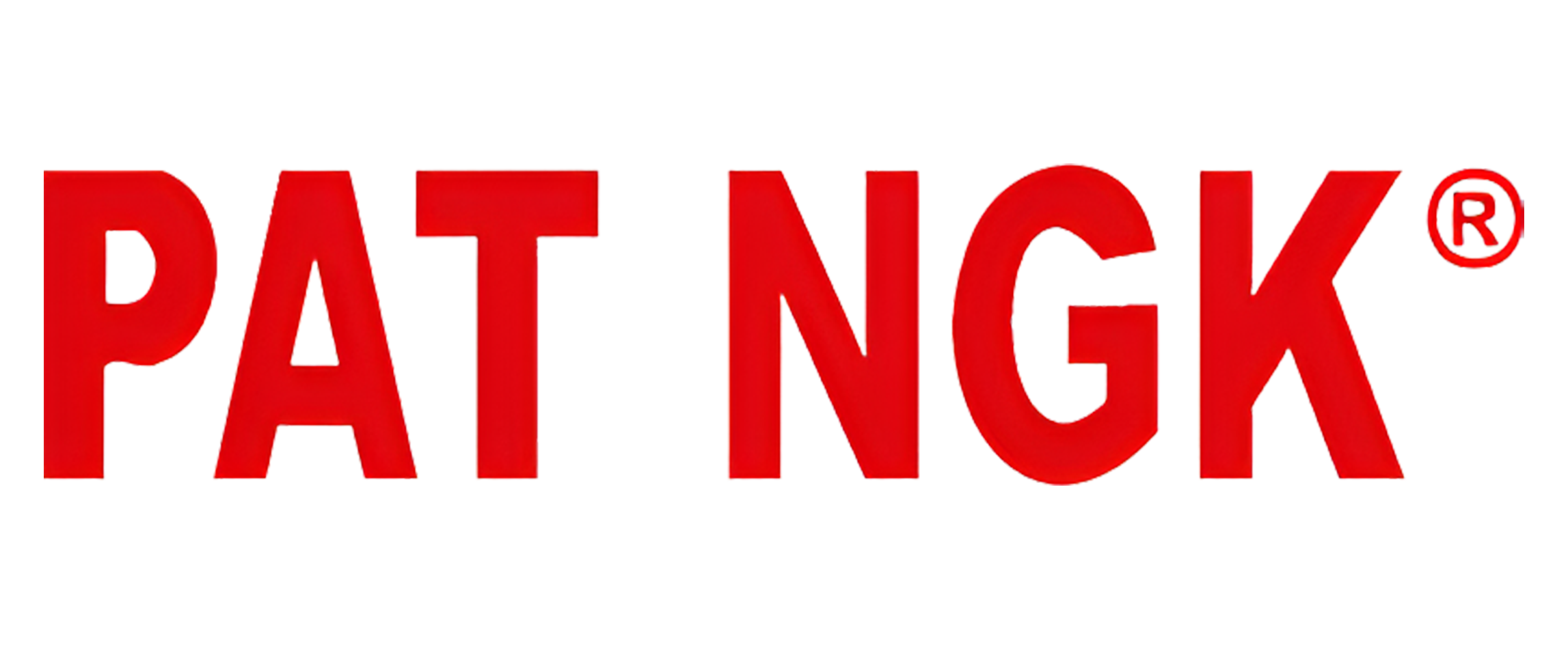 Logo PAT NGK